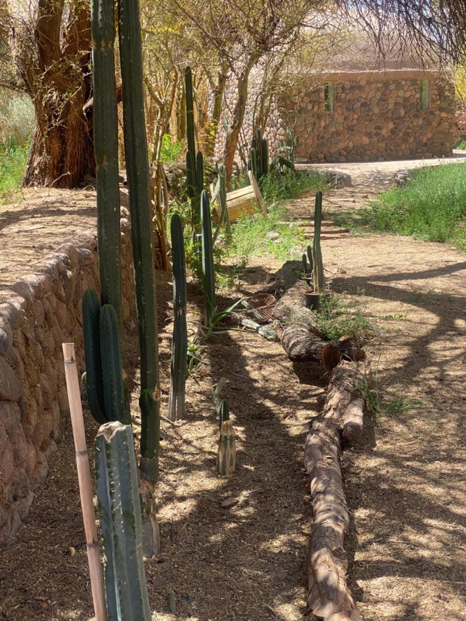 Casa Luna San Pedro de Atacama Bagian luar foto